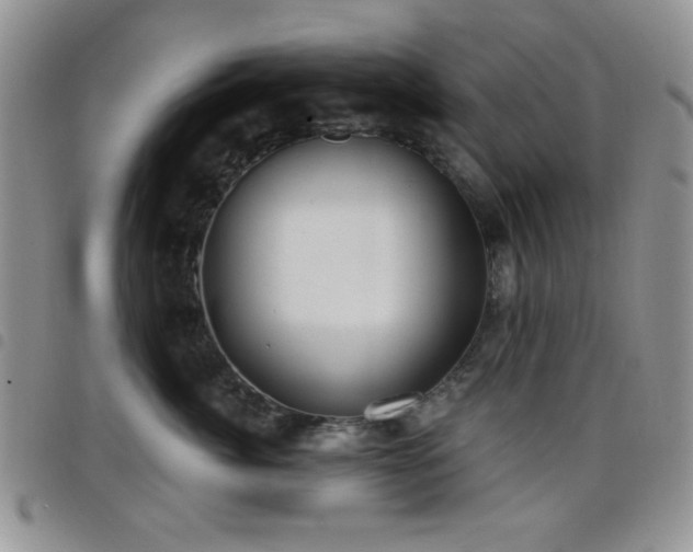 X0000098210764200804241321