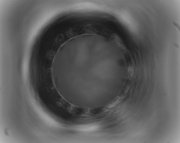 X0000098210765200804241321
