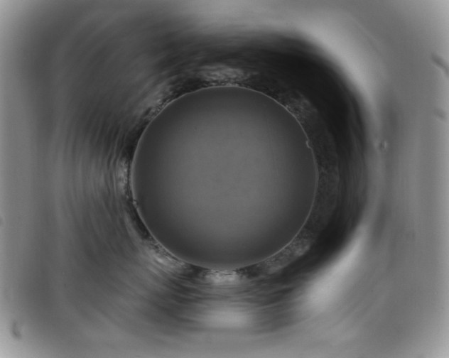 X0000098210767200804241321