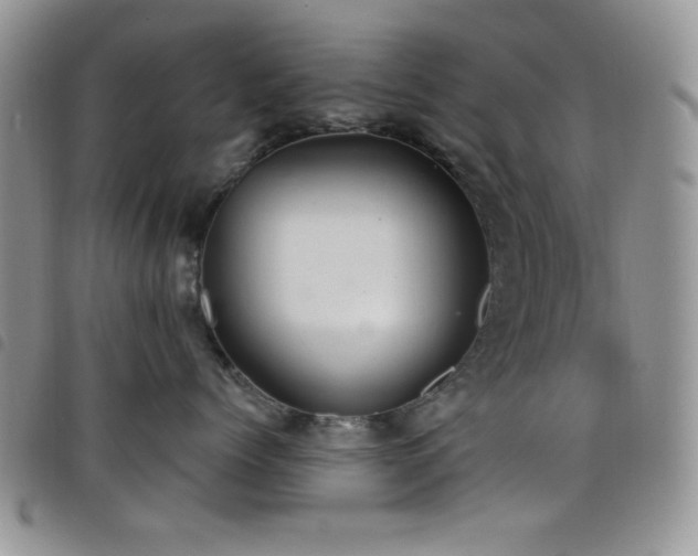 X0000098210768200804241321