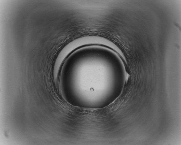X0000098210769200804241320