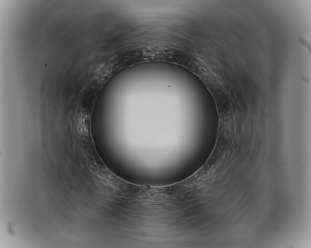 X0000098210770200804241320