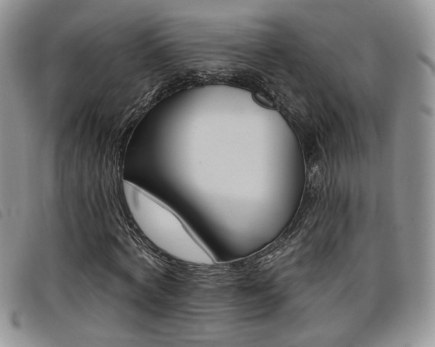 X0000098210772200804241320