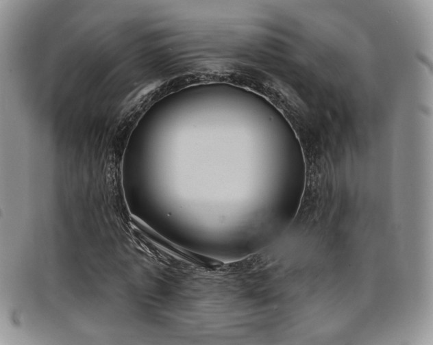 X0000098210773200804241320