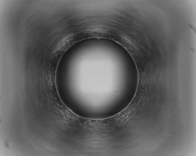 X0000098210774200804241320