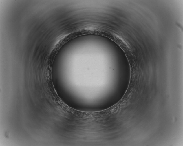 X0000098210776200804241320