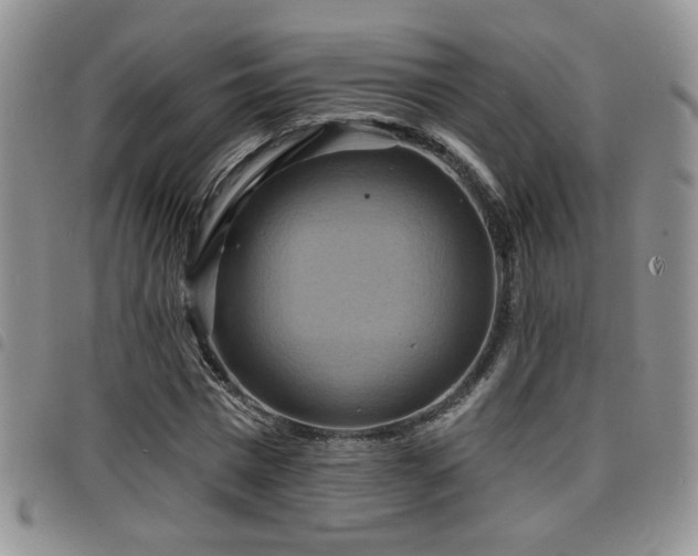 X0000098210777200804241320
