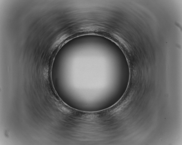 X0000098210778200804241320