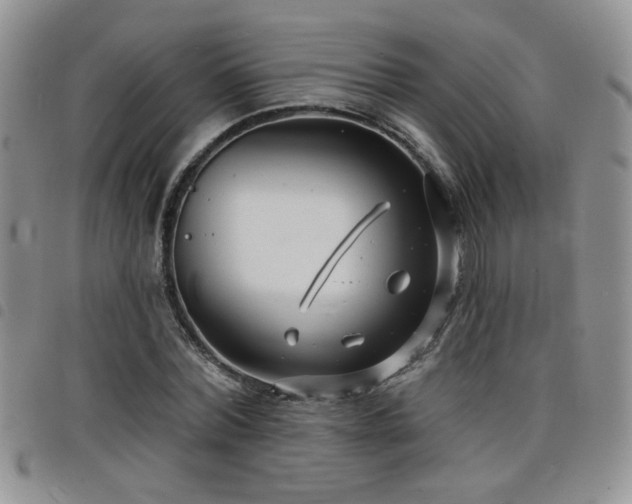 X0000098210780200804241320