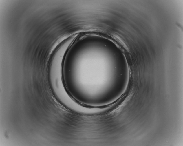 X0000098210781200804241320