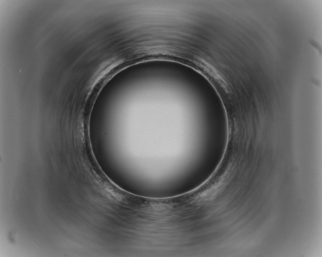 X0000098210782200804241320