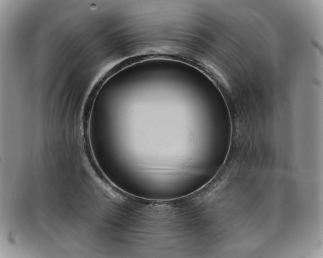 X0000098210784200804241320