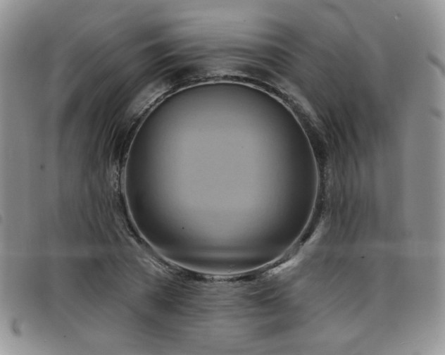 X0000098210785200804241320