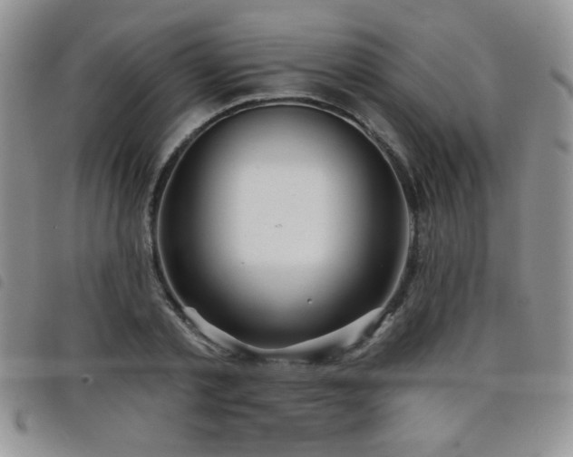 X0000098210789200804241320