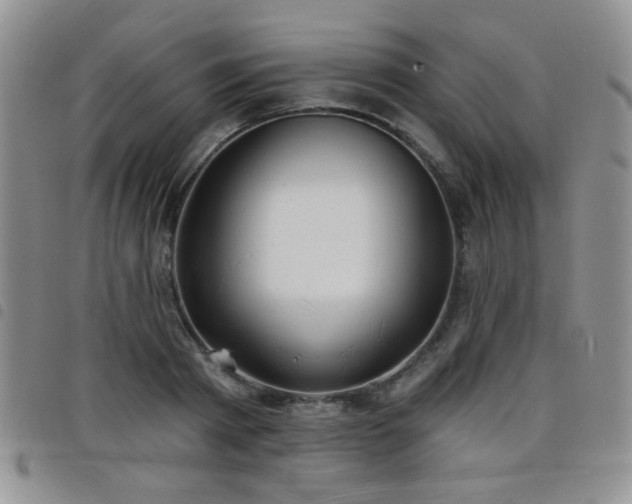X0000098210793200804241320