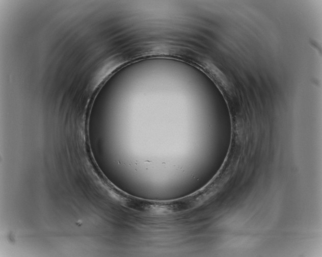 X0000098210794200804241320