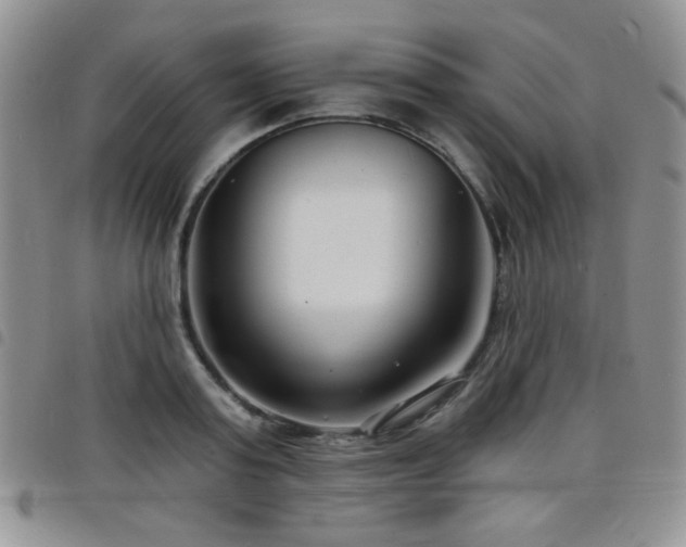 X0000098210795200804241320