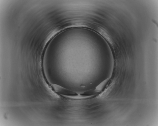 X0000098210797200804241320