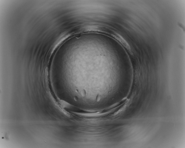 X0000098210798200804241320