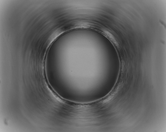 X0000098210802200804241320