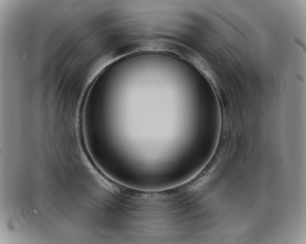 X0000098210803200804241320