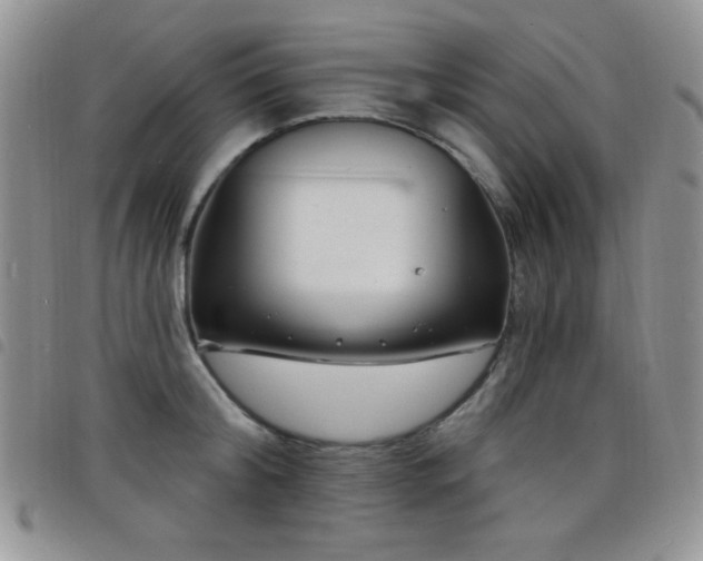 X0000098210804200804241320