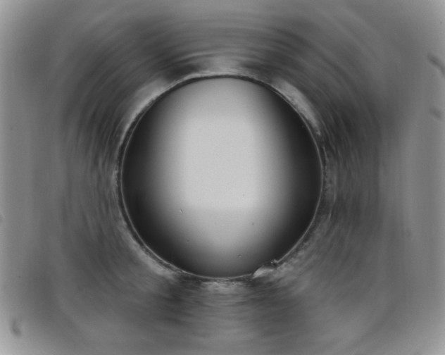 X0000098210805200804241320