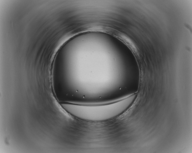 X0000098210808200804241320