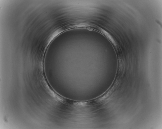 X0000098210810200804241320