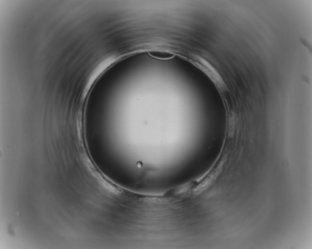 X0000098210812200804241320