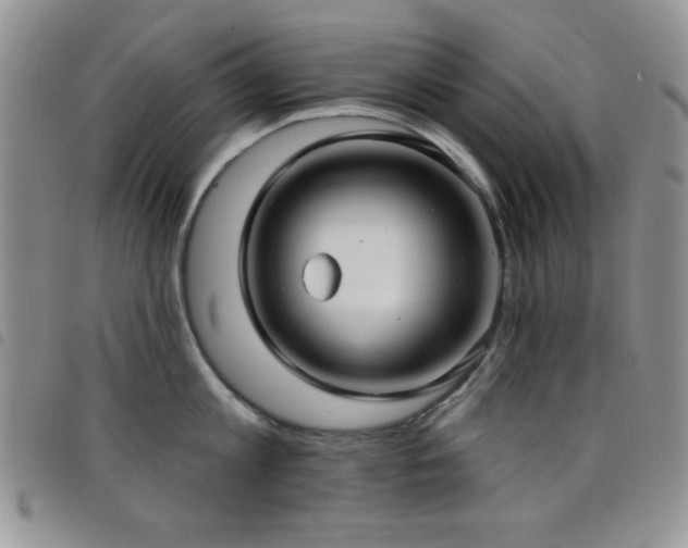 X0000098210813200804241320