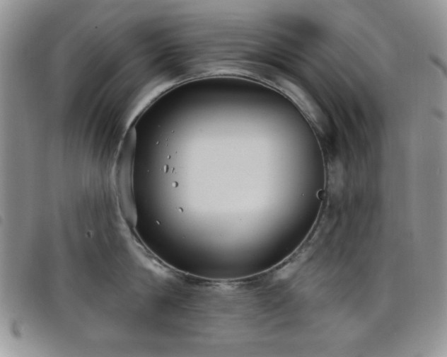 X0000098210814200804241320