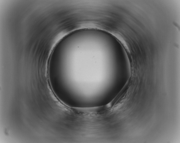 X0000098210815200804241319
