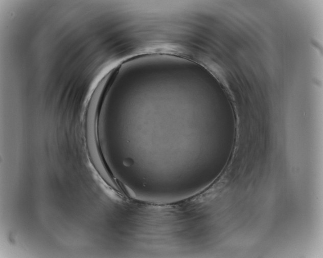 X0000098210816200804241319