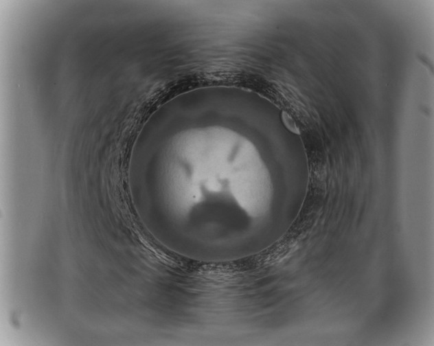 X0000098210817200804241319