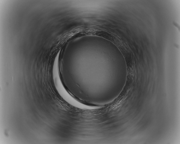 X0000098210818200804241319