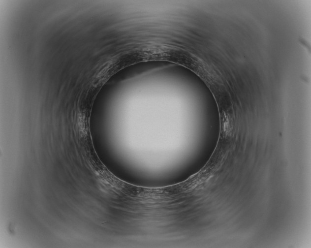 X0000098210819200804241319