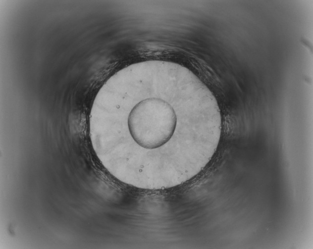 X0000098210820200804241319