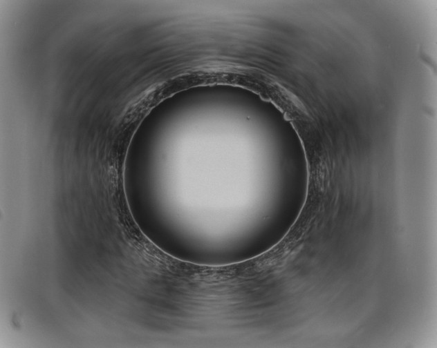 X0000098210821200804241319
