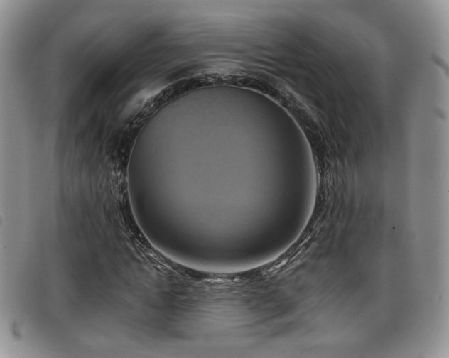X0000098210822200804241319