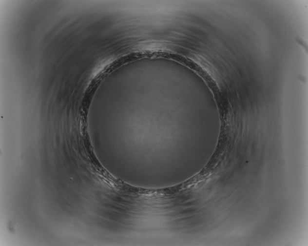 X0000098210823200804241319