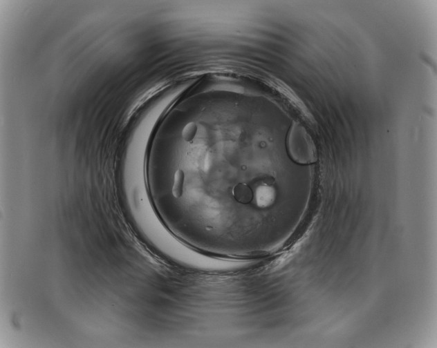 X0000098210826200804241319