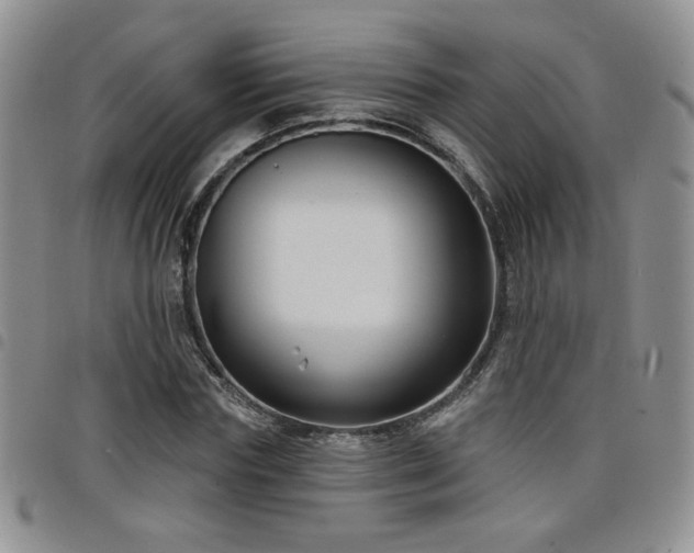 X0000098210827200804241319