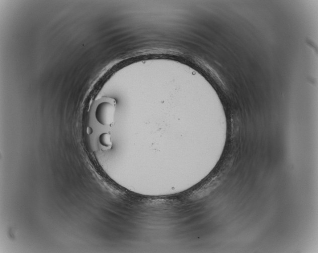 X0000098210828200804241319