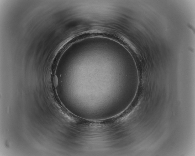 X0000098210829200804241319