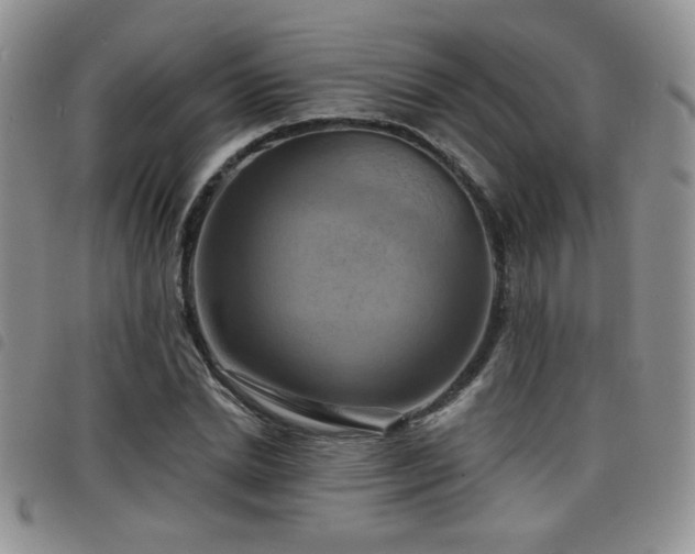 X0000098210830200804241319