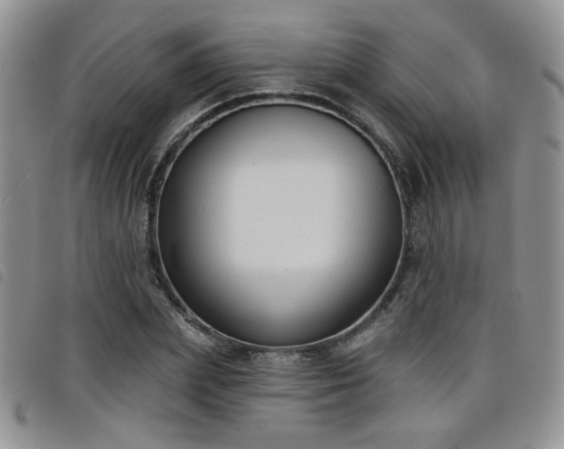 X0000098210831200804241319