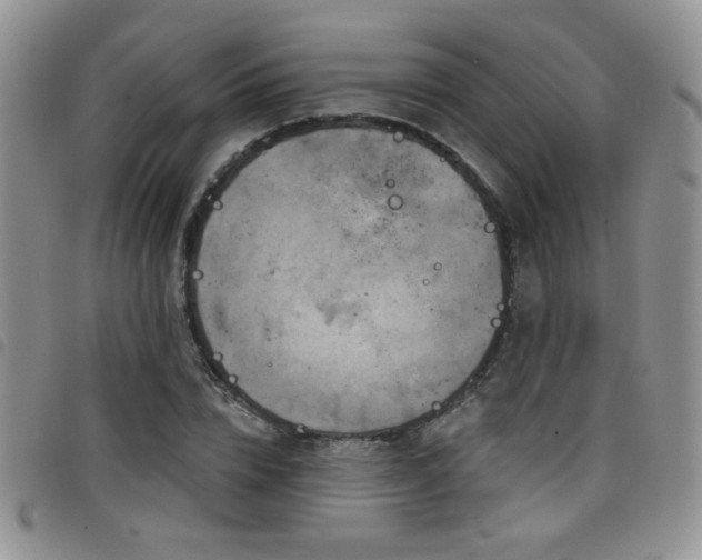 X0000098210832200804241319