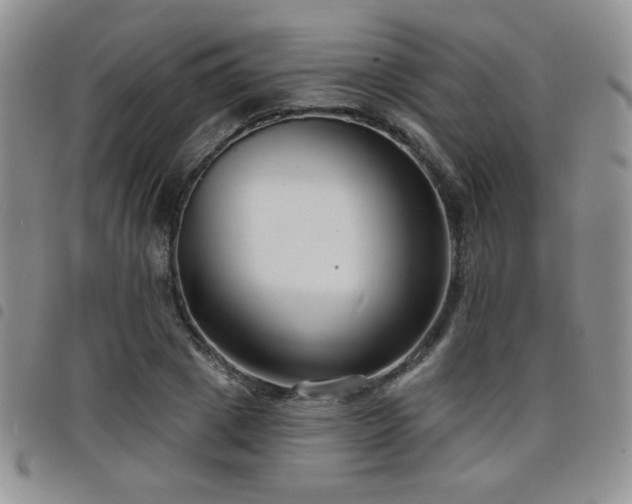 X0000098210833200804241319