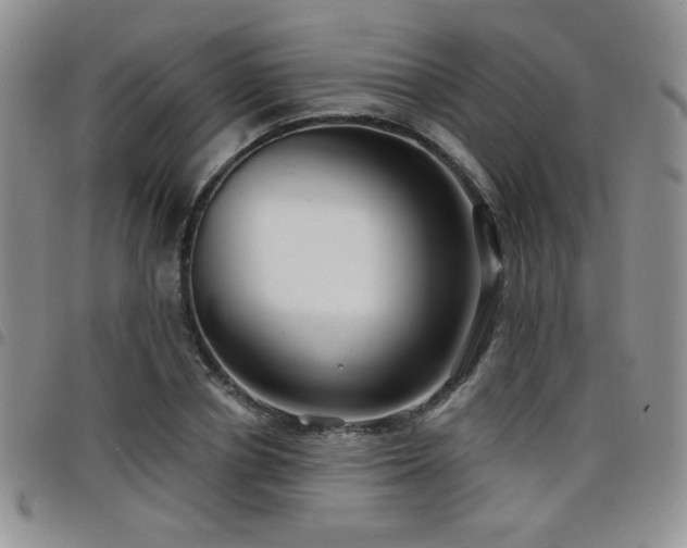 X0000098210834200804241319